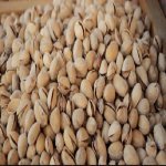 10 Khasiat Kacang Cerdik Yang Ramai Tak Tahu. Patutlah Mahal Harganya. 10 Khasiat Kacang Cerdik Yang Ramai Tak Tahu. Patutlah Mahal Harganya.