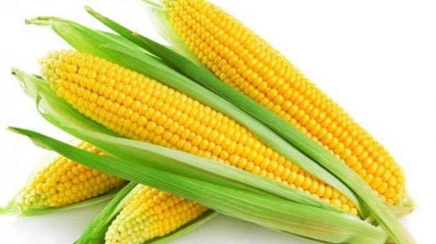16 Khasiat Hebat Jagung Yang Ramai Orang Tak Tahu.