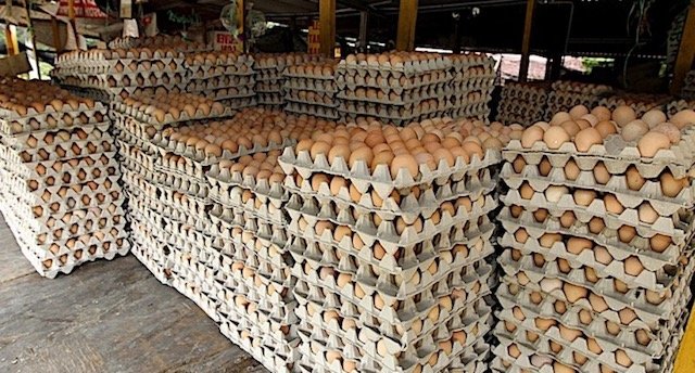 Digelak Orang Dari Pegawai Bank Jadi Penjual Telur. Lelaki Ni Bangga Jual 30,000 Telur Sehari