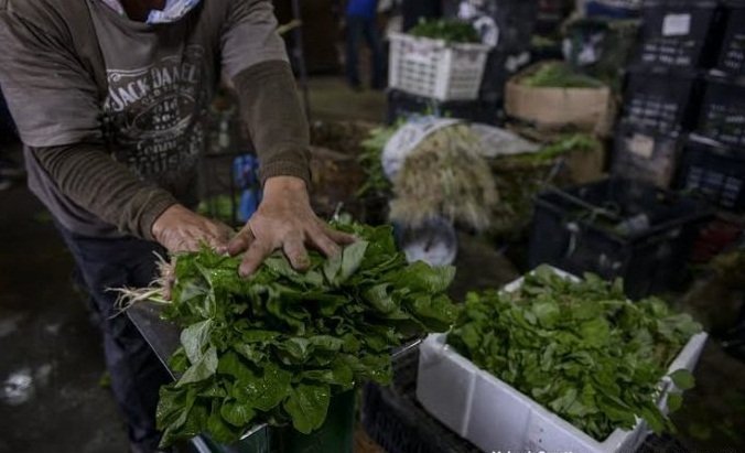 Balik Kampung Terus Beritahu Ayah Nak Berhenti Kerja Dan Jual Sayur. Respon Ayah Amat MENGEJUTKAN.