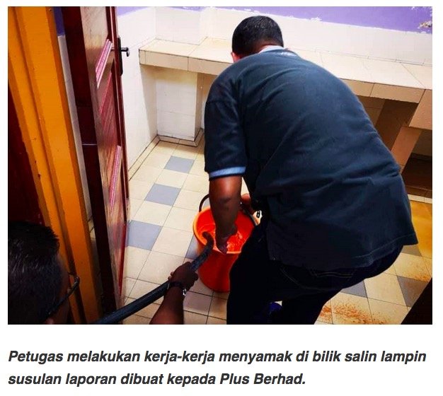 Viral Wanita Mandikan Anjing Di Bilik Salin Lampin R&R. Ini Komen Mufti KL Yang Ramai Setuju