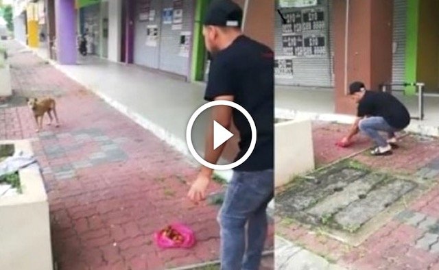 Bahasa Yg Zizan Guna Panggil Anjing Patah Kaki Datang Makan Buat Netizen Terhibur. Ada VIDEO.