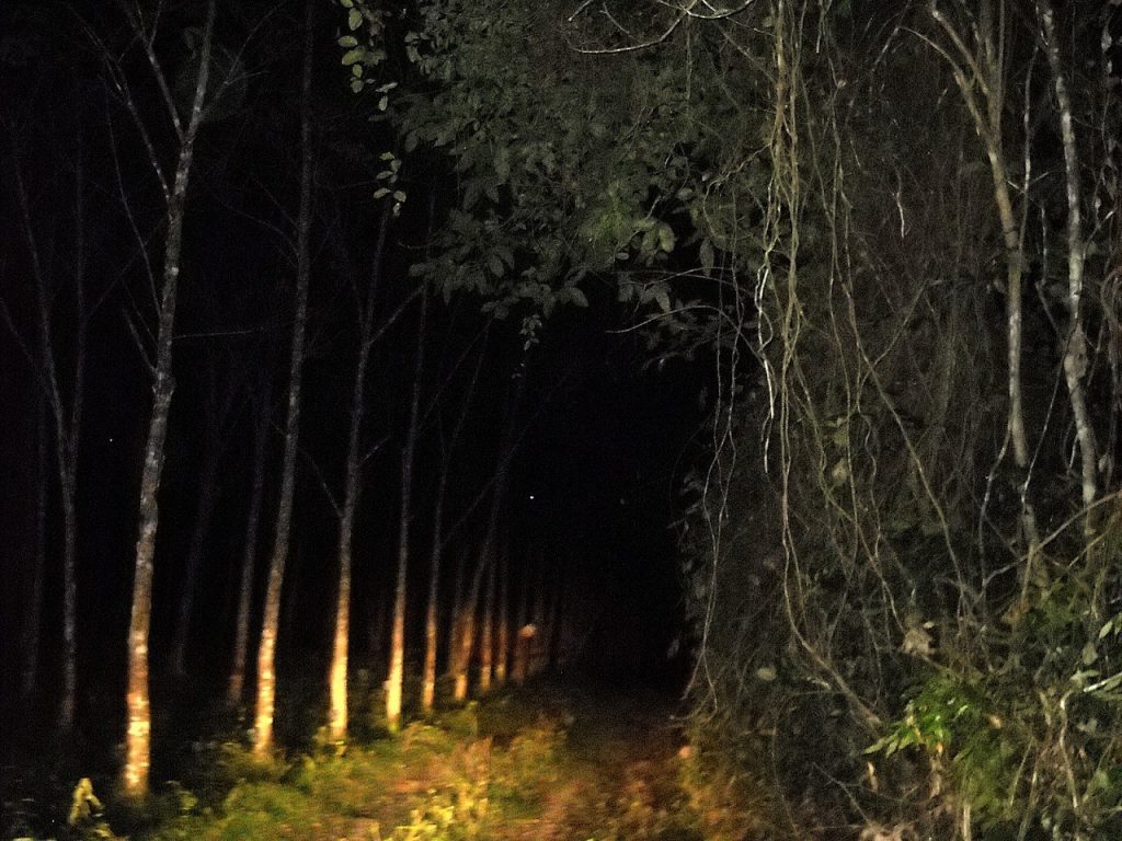 Kebun