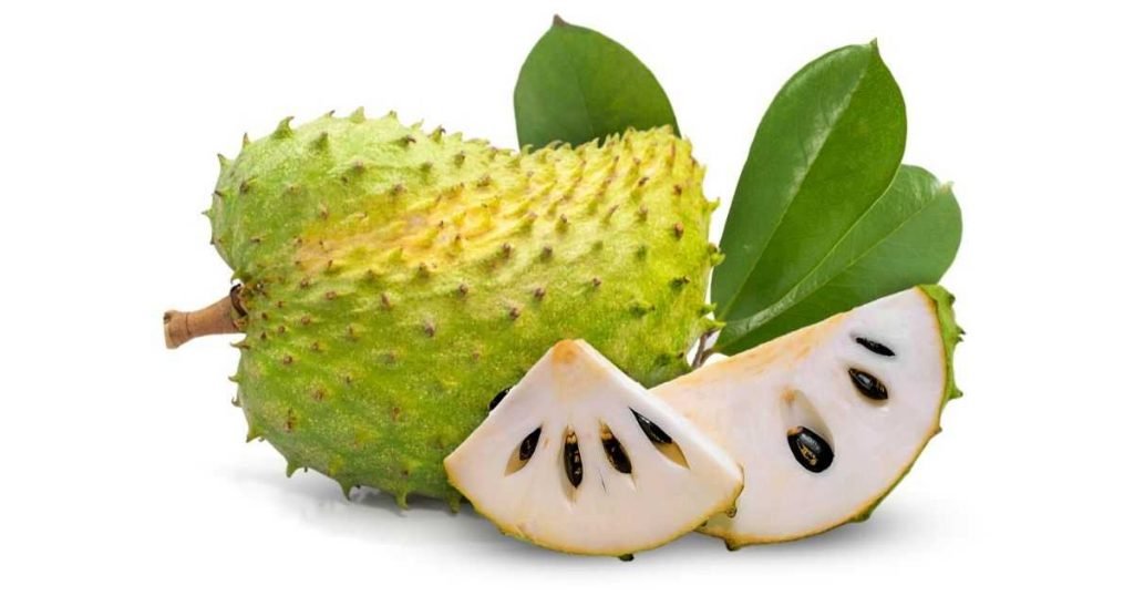 Khasiat Durian Belanda Yang Wajib Anda Tahu : KHALIFAH 