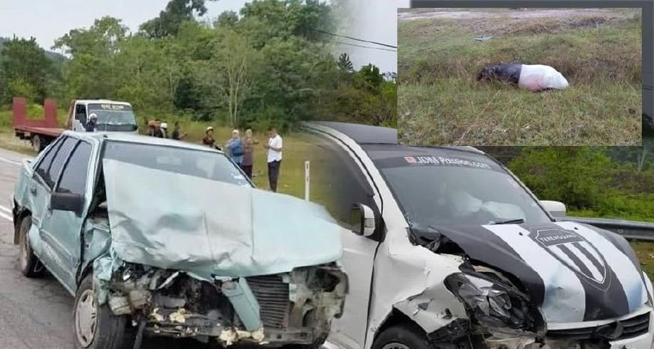 Tak Sempat Elak Kereta Langgar Tapir Melintas