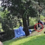 Wanita Maut Dihempap Pokok Ketika Sedang Joging. Wanita Maut Dihempap Pokok Ketika Sedang Joging.