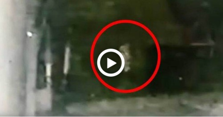 cctv