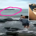 (VIDEO) Detik Cemas Dua Remaja Gadai Nyawa Selamatkan Kanak-Kanak Lemas (VIDEO) Detik Cemas Dua Remaja Gadai Nyawa Selamatkan Kanak-Kanak Lemas