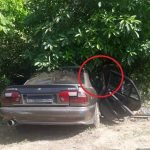 Seorang Maut Dan Seorang Parah Kereta Terbabas Rempuh Pokok Seorang Maut Dan Seorang Parah Kereta Terbabas Rempuh Pokok