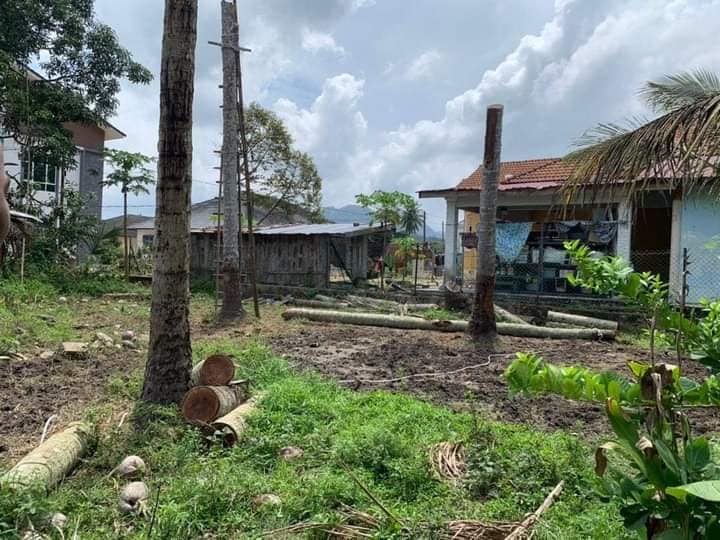 Warga Emas Maut Selepas Dihempap Pokok Kelapa Tumbang