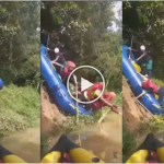 Riuh! Belum Sempat Mula, Sekumpulan Pengkayak Terlebih Dahulu ‘Terjun’ Sungai. Ada Video Riuh! Belum Sempat Mula, Sekumpulan Pengkayak Terlebih Dahulu ‘Terjun’ Sungai. Ada Video