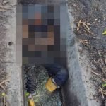 Lelaki Ditemui Maut Dalam Longkang Dengan Kesan Darah Di Leher Lelaki Ditemui Maut Dalam Longkang Dengan Kesan Darah Di Leher