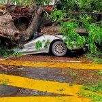 Seorang Lelaki Maut Kereta Dinaiki Dihempap Pokok Seorang Lelaki Maut Kereta Dinaiki Dihempap Pokok