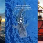 (Video) “Apa Yang Best Offshore?” Pemuda Kongsi Pengalaman Menarik Bekerja Di Offshore (Video) “Apa Yang Best Offshore?” Pemuda Kongsi Pengalaman Menarik Bekerja Di Offshore
