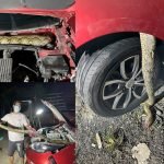 Gadis Pelik Kereta Bau Bangkai Dan Ada Darah Menitik, Rupanya Ini Yang Berlaku Gadis Pelik Kereta Bau Bangkai Dan Ada Darah Menitik, Rupanya Ini Yang Berlaku