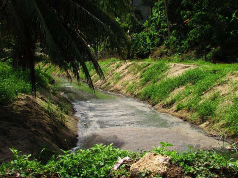 Najis Babi Cemar Laut Dan Sungai