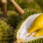 Lelaki Rugi Ratusan Ribu Ditipu Pembeli Musang King Lelaki Rugi Ratusan Ribu Ditipu Pembeli Musang King