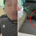 Seorang Lelaki Buat ‘Live’ Tunjuk Babi Tumpang Tidur Di Rumah. Seorang Lelaki Buat ‘Live’ Tunjuk Babi Tumpang Tidur Di Rumah.