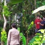 Mayat Seorang Lelaki Ditemui Tergantung Di Pohon Rambutan. Mayat Seorang Lelaki Ditemui Tergantung Di Pohon Rambutan.