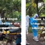 Tuan Positif Covid-19, Lihat Apa Reaksi Anjingnya Menyentuh Hati Tuan Positif Covid-19, Lihat Apa Reaksi Anjingnya Menyentuh Hati