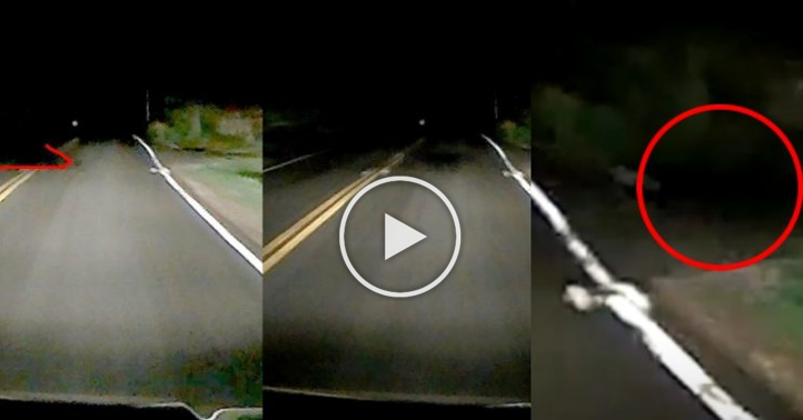 (Ada Video) Lelaki Temui Benda Misteri Melintas Depan Kereta Ketika Lalu Lewat Malam