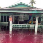 Penduduk Bimbang Dilanda Banjir Merah. Penduduk Bimbang Dilanda Banjir Merah.