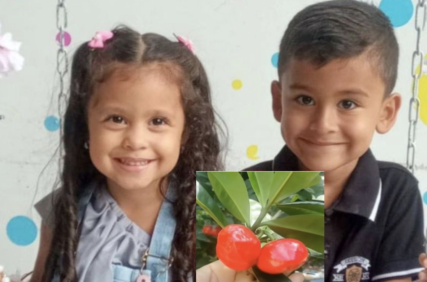 Dua Beradik Maut Termakan Buah Beracun Yang Disangka Buah Epal