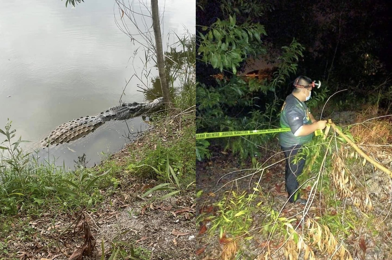 Ada Buaya Sesat, Penduduk Dengkil Perlu Berhati-Hati