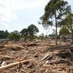 Banjir: Tiada Pembalakan Di Hutan Simpan Lentang Banjir: Tiada Pembalakan Di Hutan Simpan Lentang