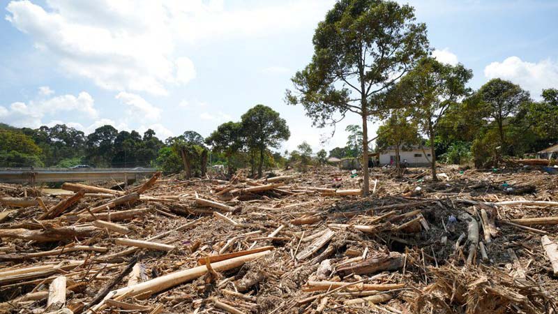 Banjir: Tiada Pembalakan Di Hutan Simpan Lentang