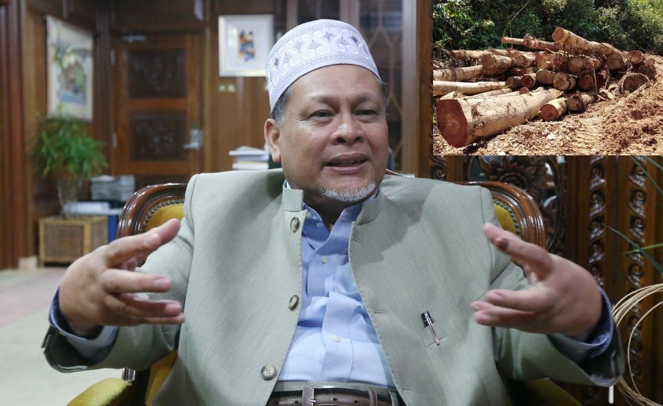 "Pembalakan Di Kelantan Ikut Undang-undang, Kuota Dibenarkan"- Ujar Timbalan MB Kelantan