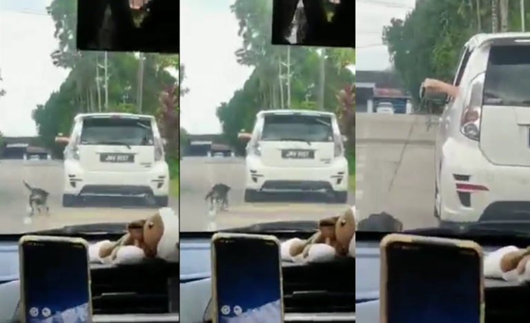 (VIDEO) Viral Individu Heret Anjing Dari Dalam Kereta. Ini Sebabnya..