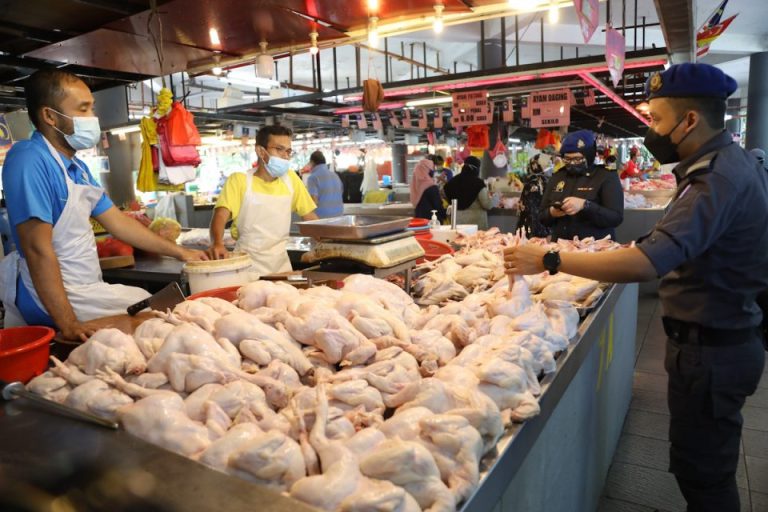 ayam