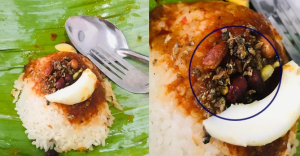 JIJIK! Beli Nasi Lemak. Tapi, ‘Ini’ Yang Diterimanya..