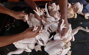 Terkini! Ini Harga Ayam Sekilo Mulai 1 Julai