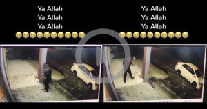 (Ada Video) Tular Video Seksa Kucing, Netizen Cari Pemandu ‘Bezza Putih’ Ini