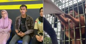TULAR! Pemuda Ditarik Orang Utan. Ini PENGAKUAN Yang Sebenar