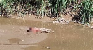 Kehilangan Budak 9 Tahun Kini Terjawab. Ditemui 'Tak Bernyawa' Lepas 3 Hari