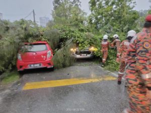 Pokok Tumbang Hempap Beberapa Buah Kereta Dan Motor