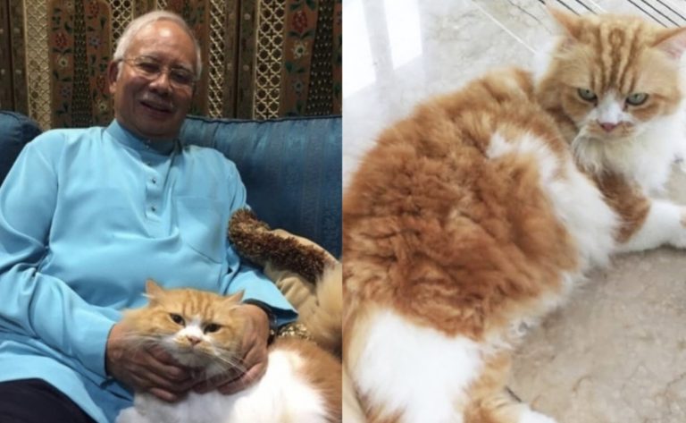 Rindu DS Najib. Anak Dedah Tabiat Kiky Yang Menyedihkan Ramai