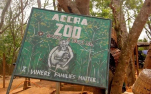 Lelaki Maut Dibaham Singa Di Zoo Ghana