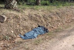 Wanita Maut Di Ladang Kelapa Sawit, Rupa-Rupanya Ini Yang Terjadi Wanita Maut Di Ladang Kelapa Sawit, Rupa-Rupanya Ini Yang Terjadi