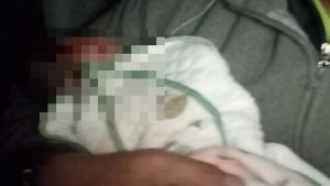 Masih Bertali Pusat, Bayi Perempuan Ditemui Atas Jalan Raya Masih Bertali Pusat, Bayi Perempuan Ditemui Atas Jalan Raya