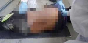 Buruh Ditemui Mati Terbaring Ditempat Kerja, Rupanya Ini Yang Berlaku..