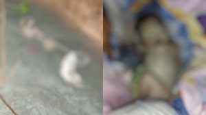 (VIDEO) ‘Ibu Jahanam’, Mayat Bayi Perempuan Dijumpa Dalam Parit