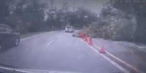 (VIDEO) Malang Tak Berbau, Van Dihempap Pokok di Genting