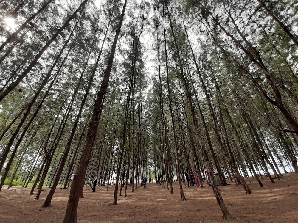 Pantai Senok menarik dilawati di Kelantan